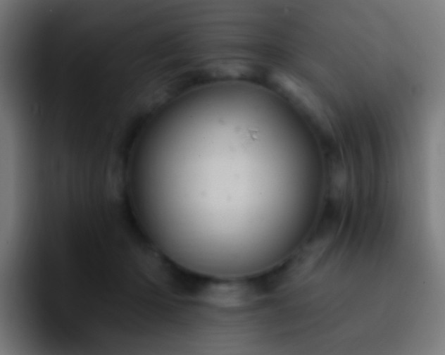 X0000093170414200710031507