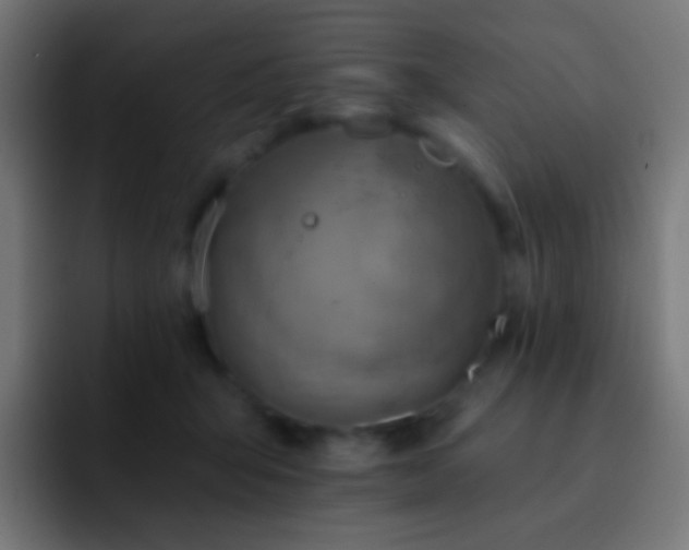 X0000093170415200710031507