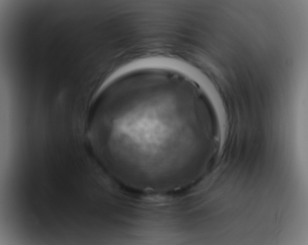 X0000093170417200710031507