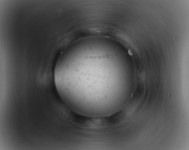 X0000093170418200710031507