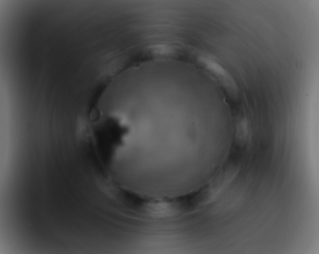 X0000093170419200710031507