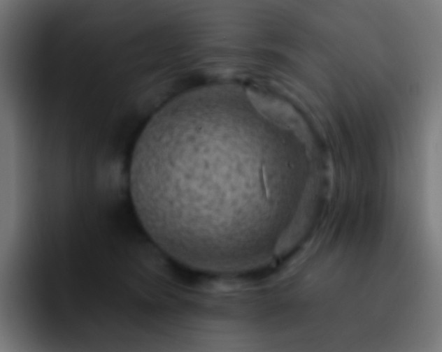 X0000093170420200710031507