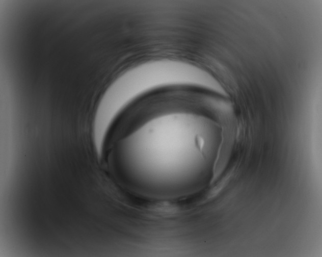 X0000093170421200710031507