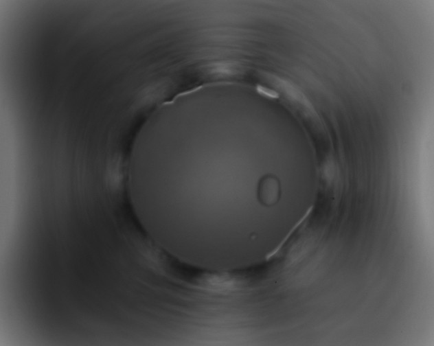 X0000093170423200710031507