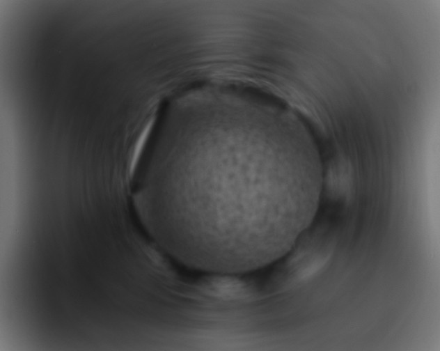 X0000093170424200710031507