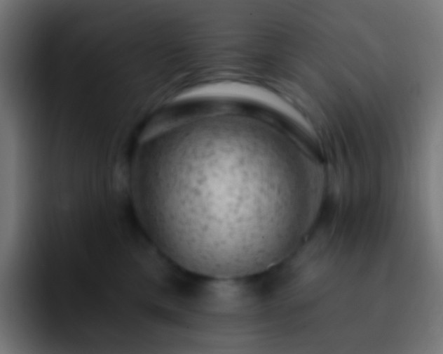 X0000093170425200710031507