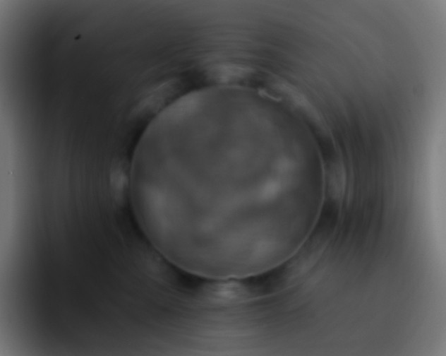 X0000093170427200710031507