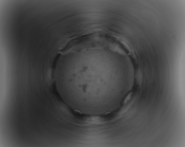 X0000093170428200710031507