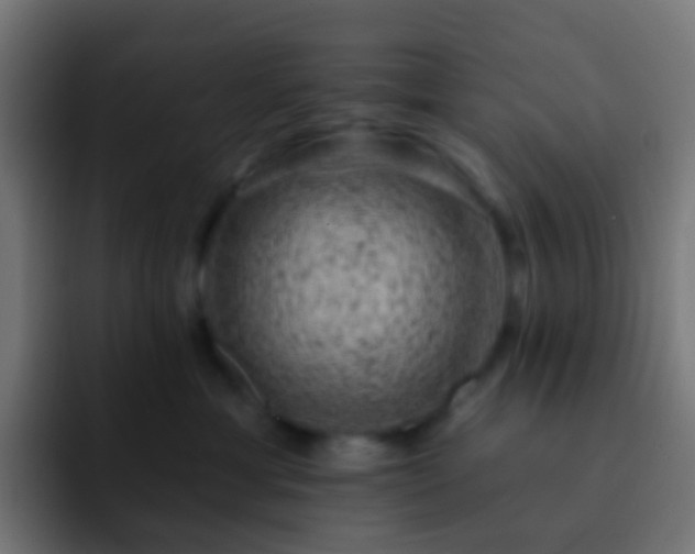 X0000093170429200710031507