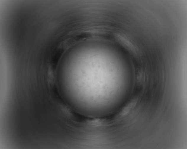 X0000093170430200710031507
