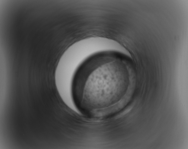 X0000093170432200710031507