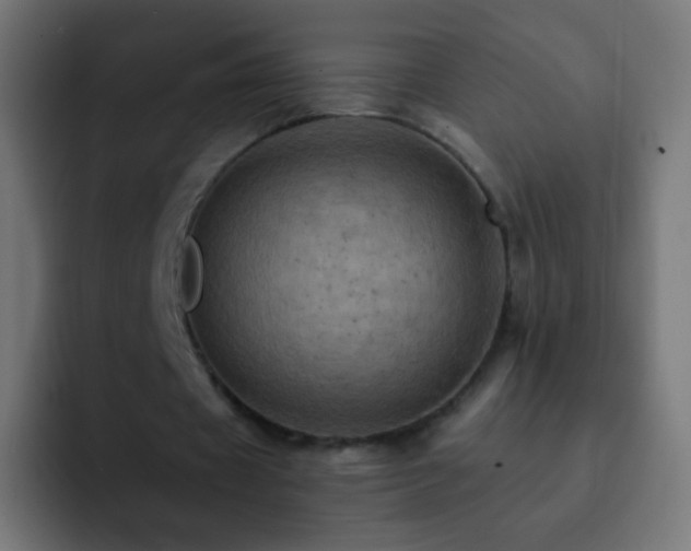 X0000093170433200710031506