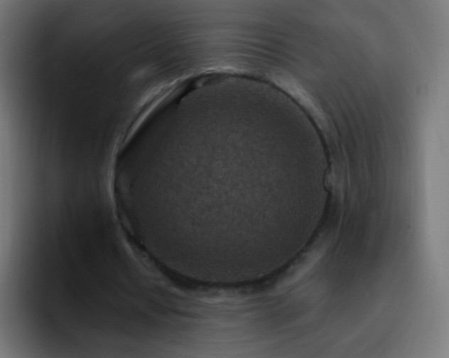 X0000093170434200710031506