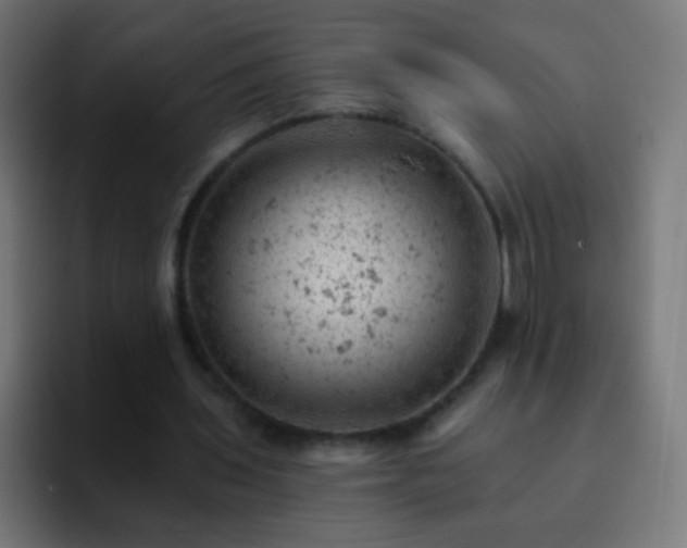 X0000093170435200710031506