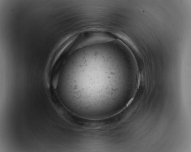 X0000093170436200710031506