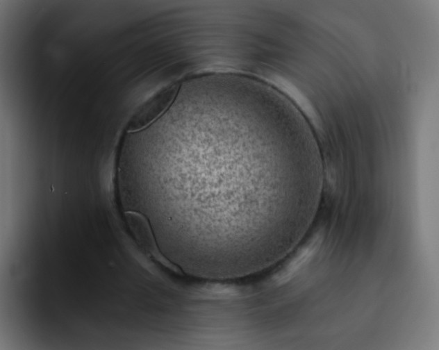 X0000093170437200710031506