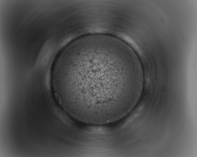 X0000093170439200710031506