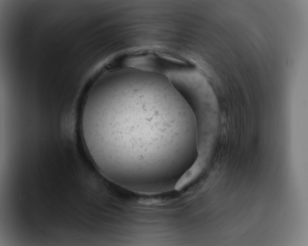X0000093170440200710031506