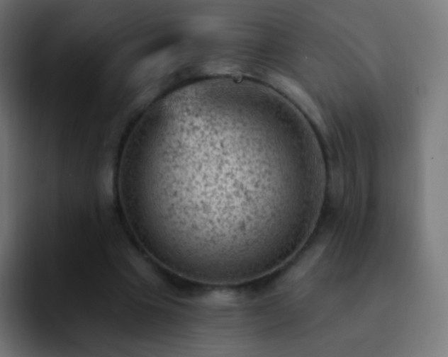 X0000093170441200710031506