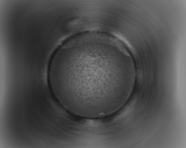 X0000093170442200710031506