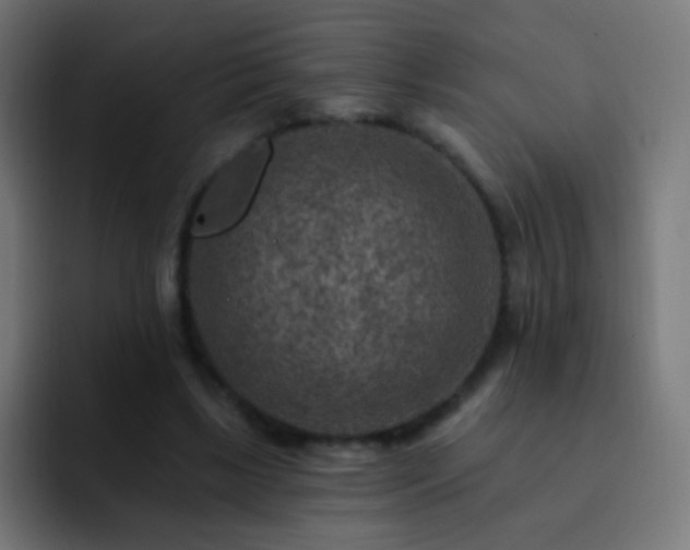 X0000093170443200710031507