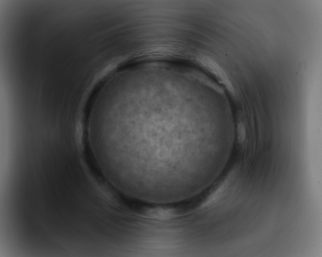 X0000093170444200710031507