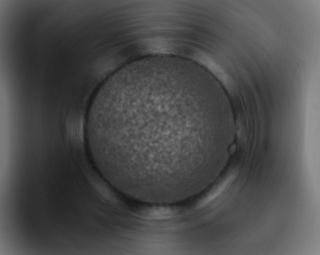 X0000093170445200710031507