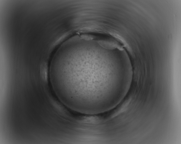 X0000093170446200710031507
