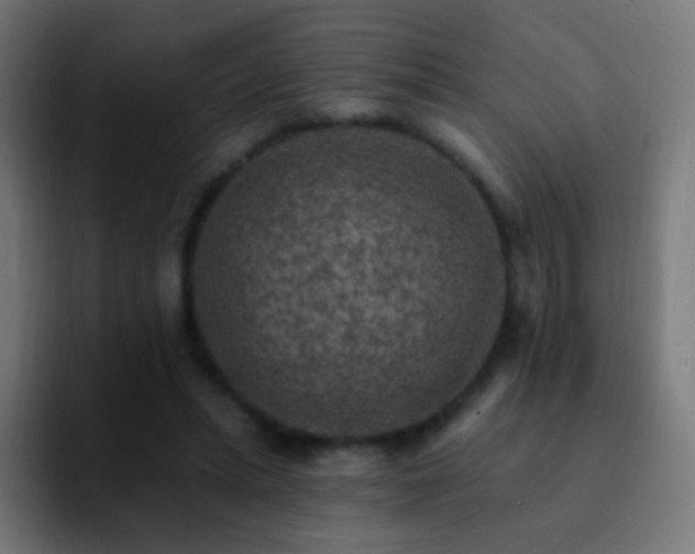 X0000093170447200710031507