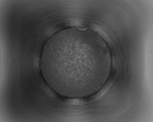X0000093170449200710031507