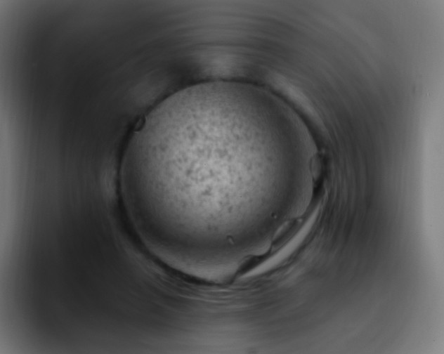 X0000093170450200710031507