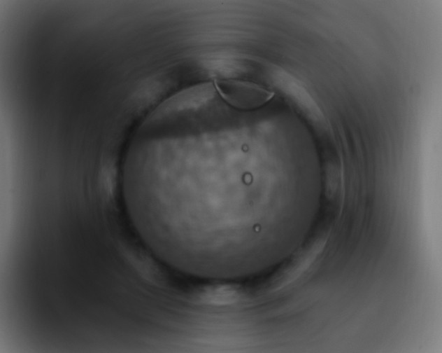X0000093170451200710031507