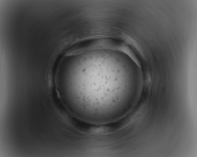 X0000093170452200710031507