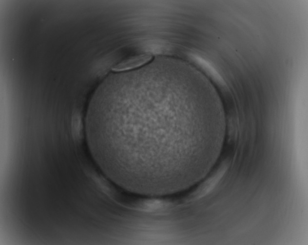 X0000093170453200710031507
