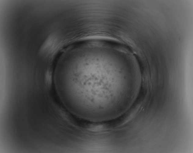 X0000093170454200710031507