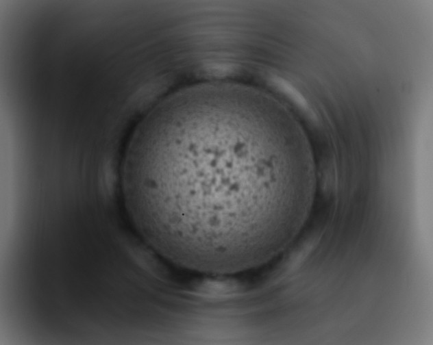 X0000093170455200710031507