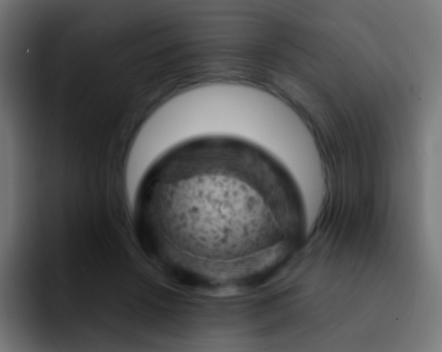X0000093170456200710031507