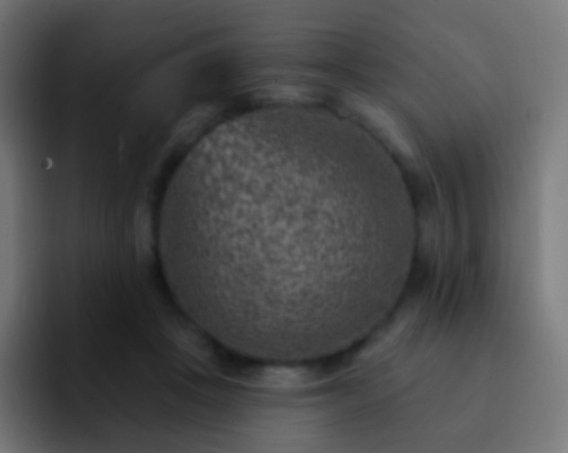 X0000093170457200710031507