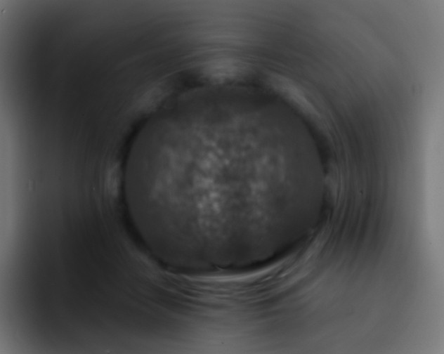 X0000093170458200710031507