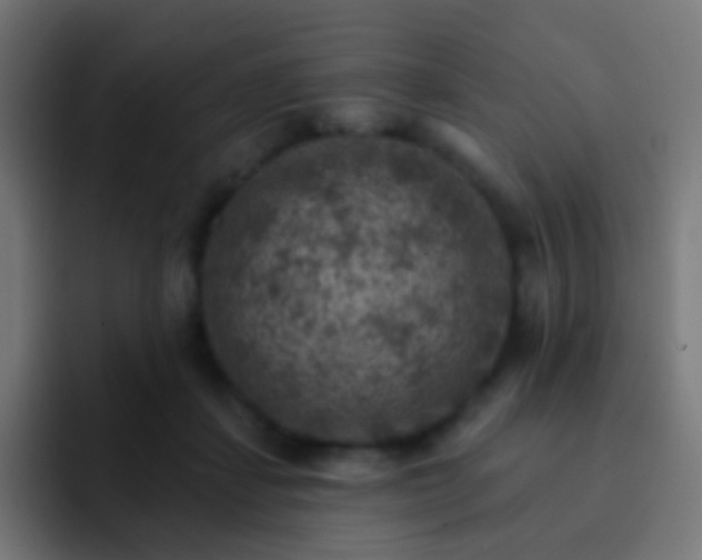 X0000093170459200710031507