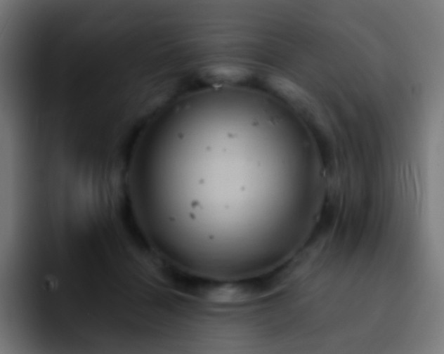 X0000093170460200710031507