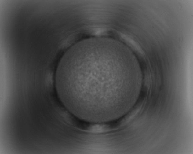 X0000093170461200710031507