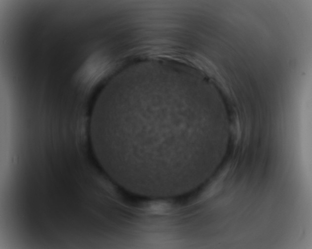 X0000093170462200710031507