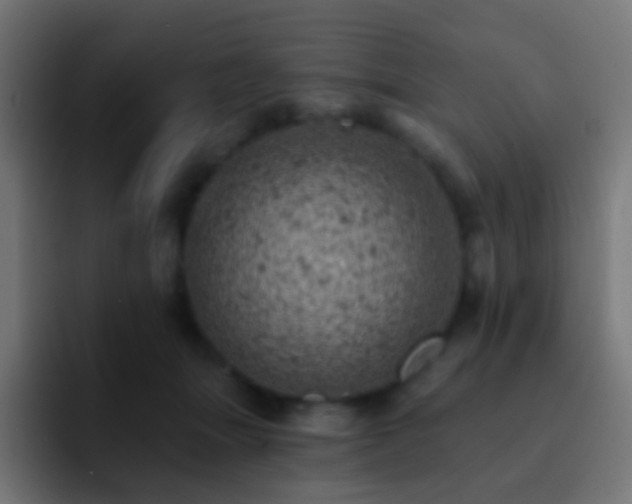 X0000093170463200710031507