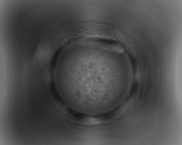 X0000093170464200710031507