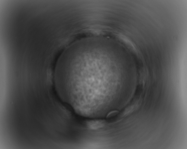 X0000093170465200710031507