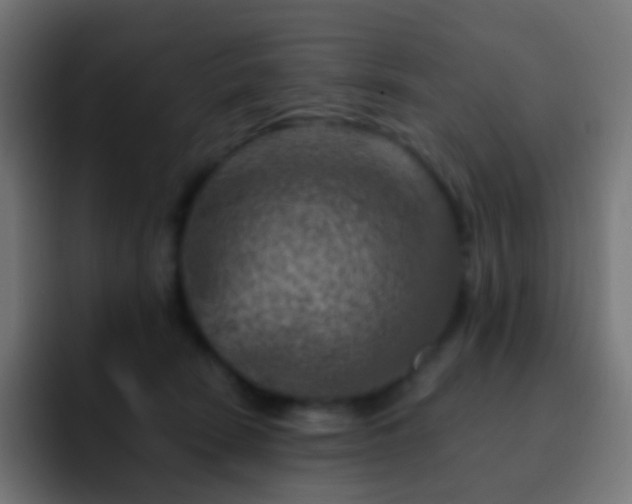 X0000093170466200710031507