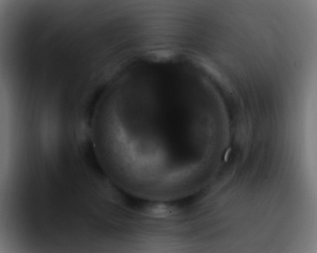 X0000093170467200710031507