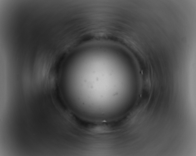 X0000093170468200710031507