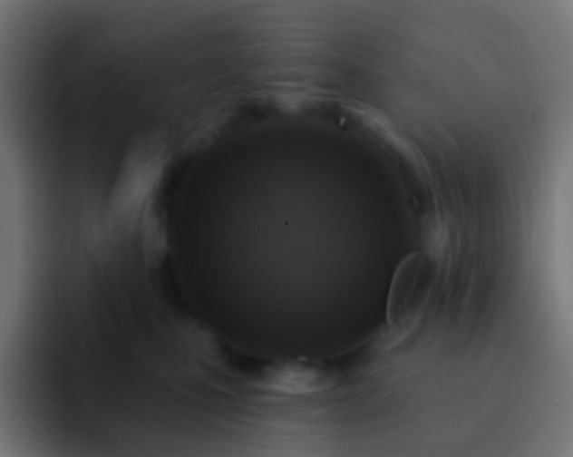 X0000093170471200710031507